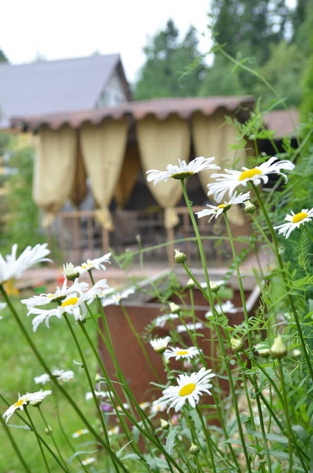 Зона барбекю и территория